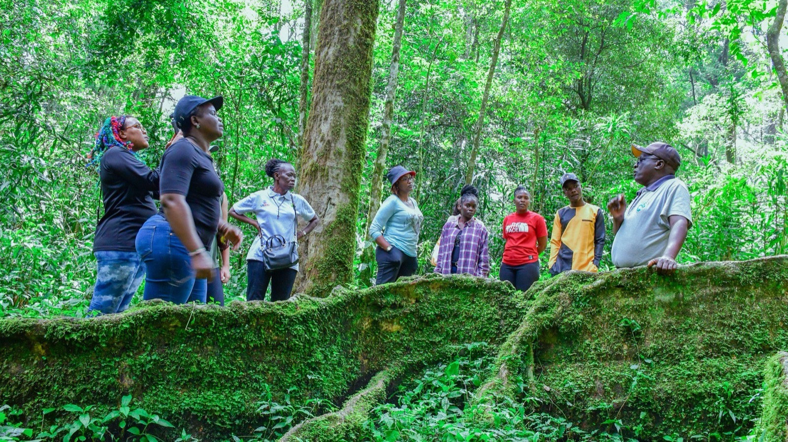 WCCI and Pivot Collective team in Kakamega rainforest. Credit: WCCI